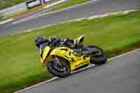 Evening Low_Mid Group Yellow Bikes